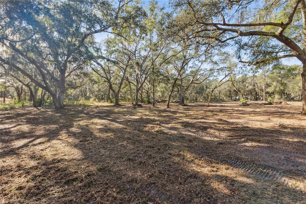 1001 Lake Harney Road Geneva, FL 32732 - Photo 13 of 34 a view of dirt field with trees