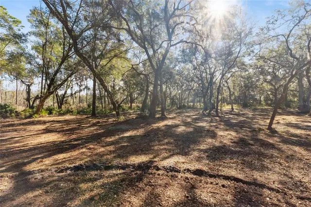 a view of outdoor space with yard
