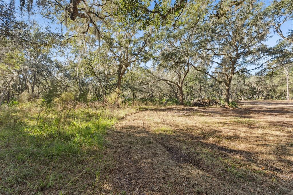 1001 Lake Harney Road Geneva, FL 32732 - Photo 15 of 34 a view of dirt field and trees
