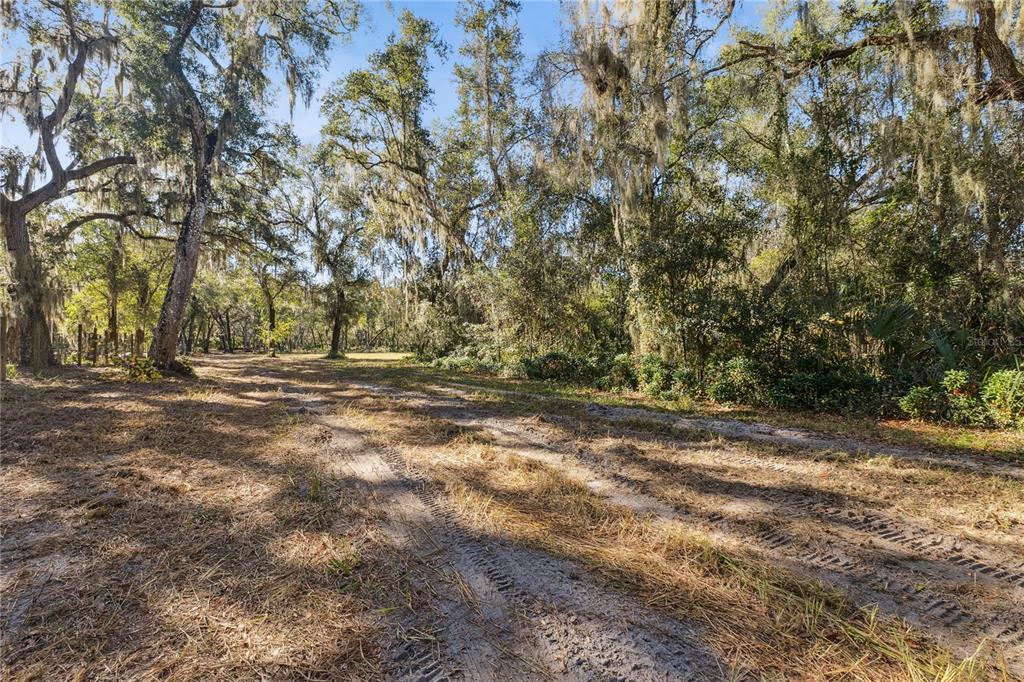 1001 Lake Harney Road Geneva, FL 32732 - Photo 17 of 34 a view of outdoor space with trees