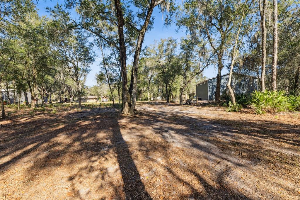 1001 Lake Harney Road Geneva, FL 32732 - Photo 20 of 34 a view of road with trees