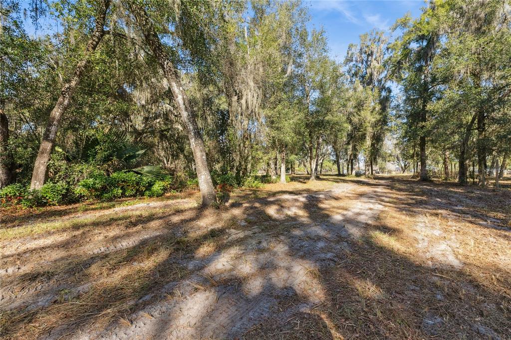1001 Lake Harney Road Geneva, FL 32732 - Photo 22 of 34 a view of outdoor space with trees
