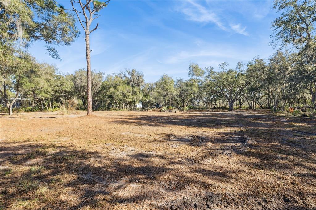 1001 Lake Harney Road Geneva, FL 32732 - Photo 3 of 34 a view of outdoor space with deck and trees