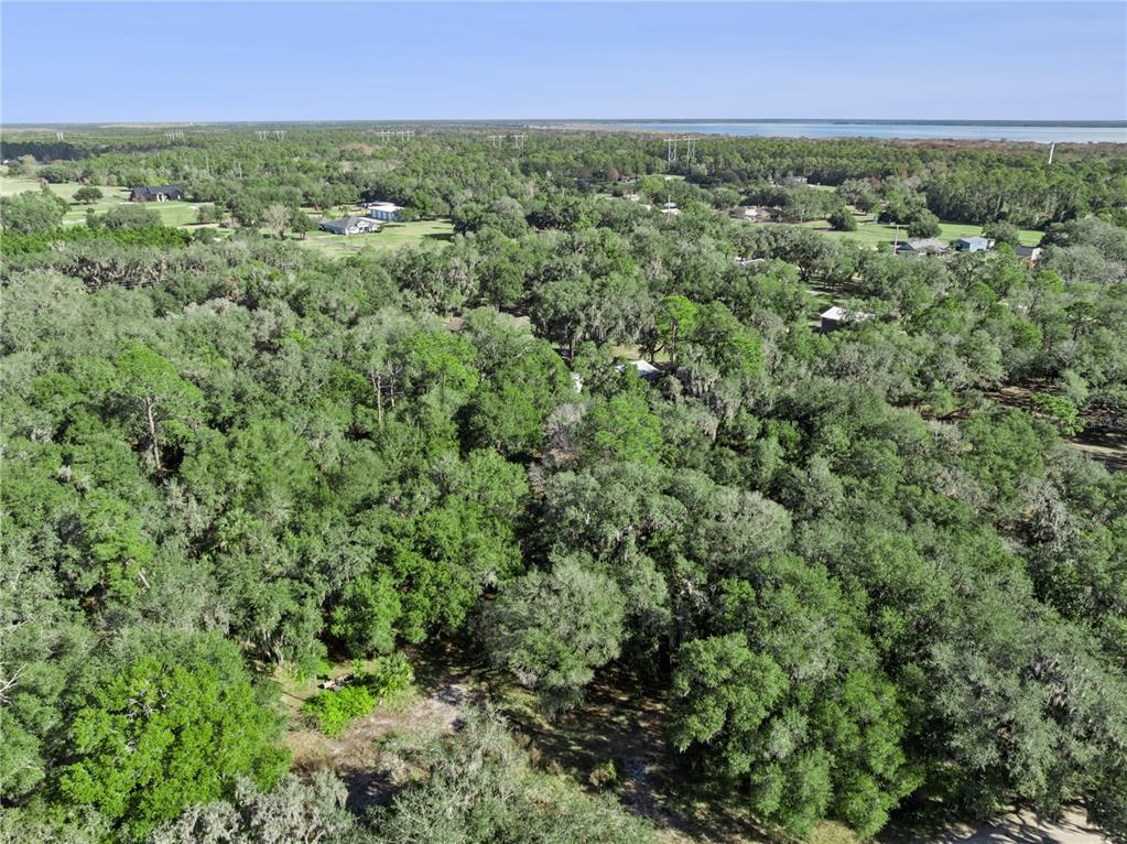 1001 Lake Harney Road Geneva, FL 32732 - Photo 32 of 34 an aerial view of residential houses with outdoor space and trees