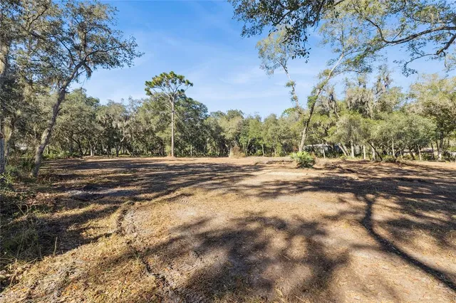 a view of outdoor space with trees