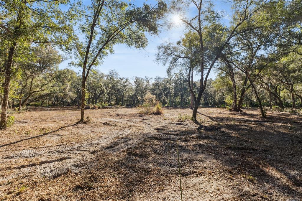 1001 Lake Harney Road Geneva, FL 32732 - Photo 6 of 34 a view of road covered with snow