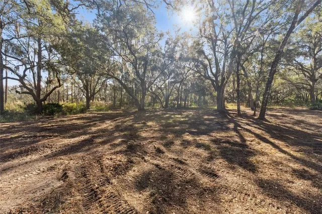 a view of outdoor space with trees