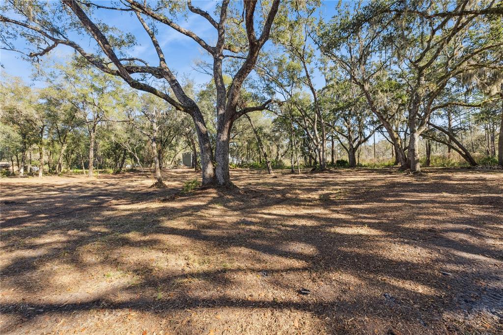 1001 Lake Harney Road Geneva, FL 32732 - Photo 8 of 34 a view of outdoor space with yard and trees in the background