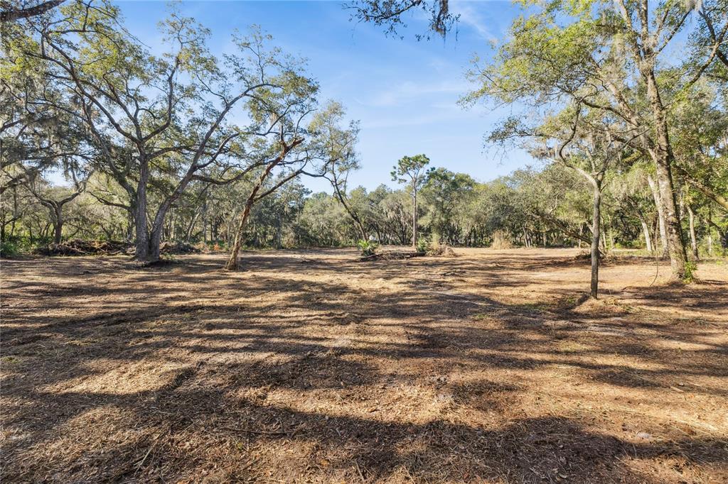 1001 Lake Harney Road Geneva, FL 32732 - Photo 9 of 34 a view of outdoor space with deck and trees