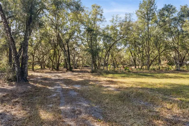 a view of dirt field with trees