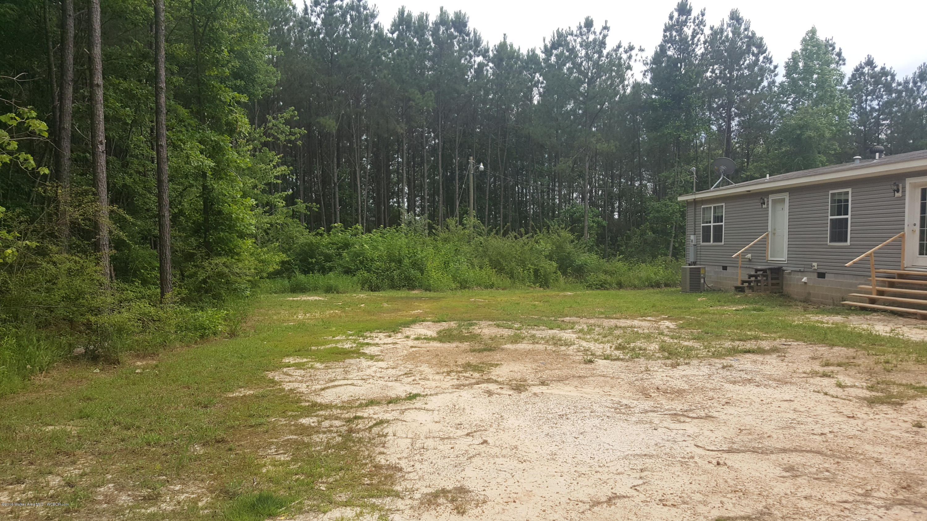 2160 Duncan Road Nauvoo, AL 35578 - Photo 5 of 50 Gallery Image 5