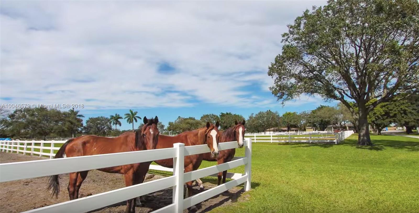 15990 Griffin Road Southwest Ranches, FL 33331 - Photo 13 of 20 a view of a garden with houses