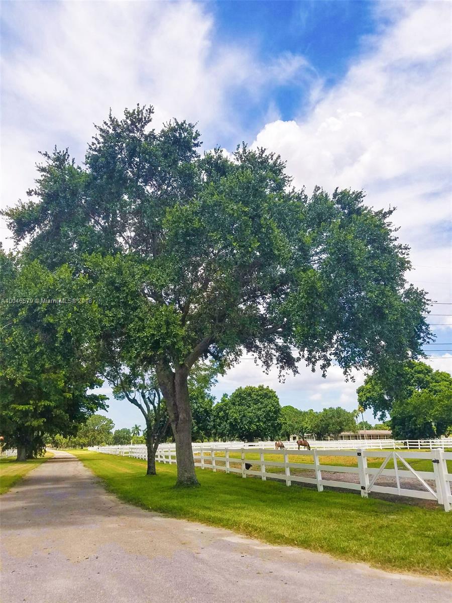 15990 Griffin Road Southwest Ranches, FL 33331 - Photo 14 of 20 a view of a yard with plants and large trees