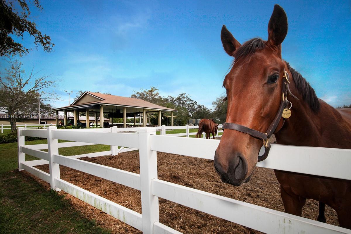 15990 Griffin Road Southwest Ranches, FL 33331 - Photo 3 of 20 a view of a house with a park