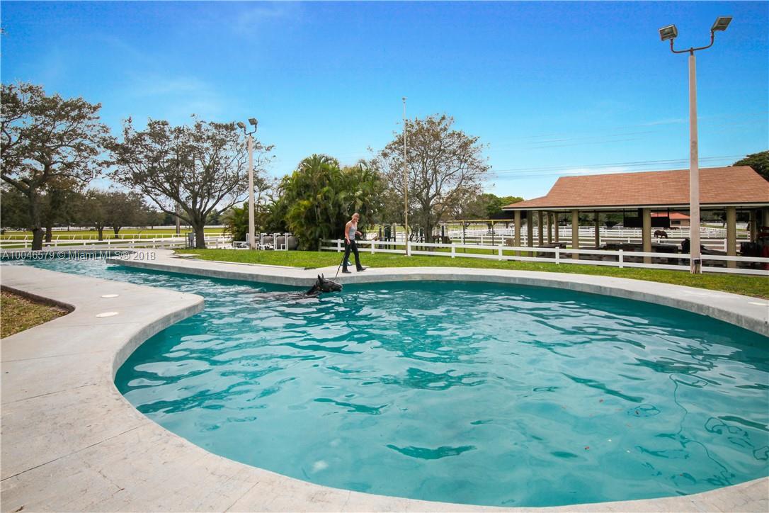15990 Griffin Road Southwest Ranches, FL 33331 - Photo 4 of 20 a view of a swimming pool and a yard