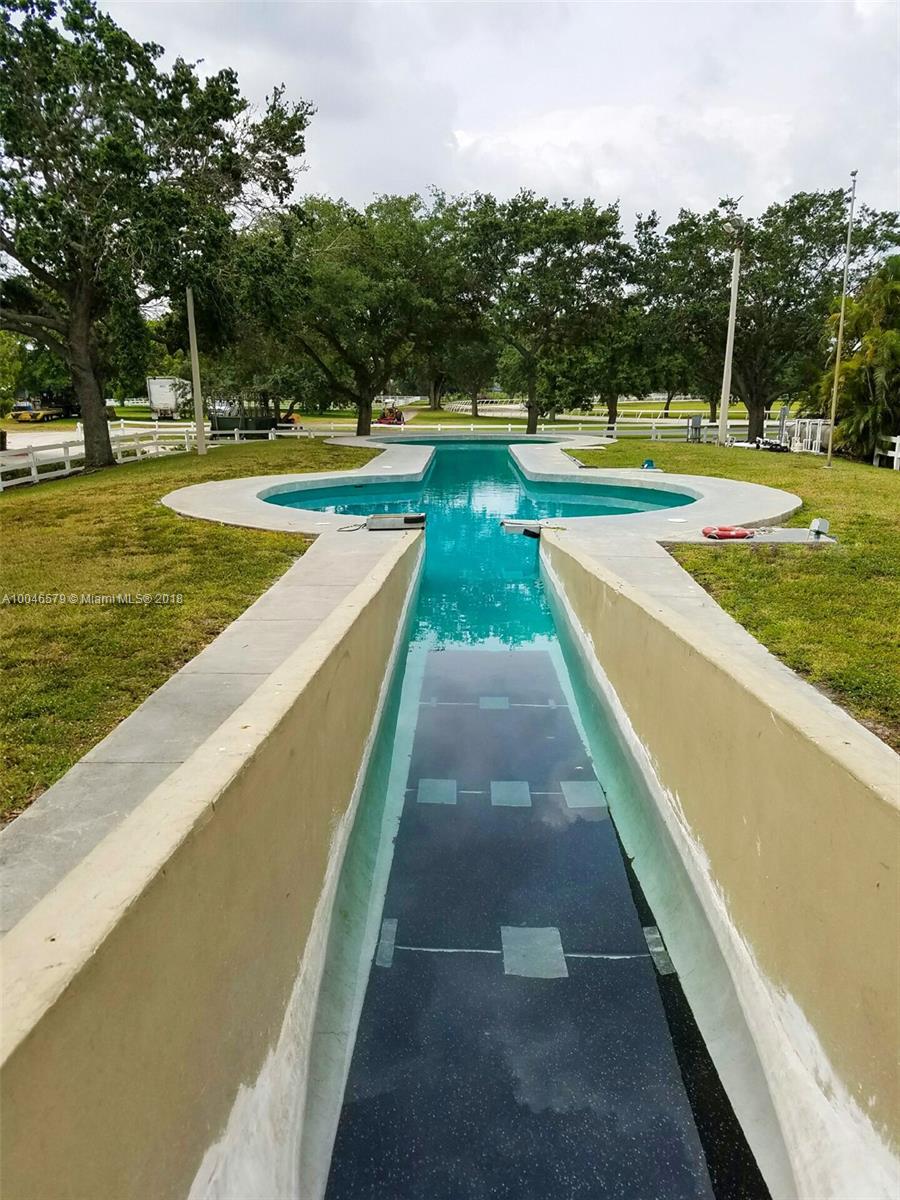 15990 Griffin Road Southwest Ranches, FL 33331 - Photo 6 of 20 a view of swimming pool with lawn chairs and plants