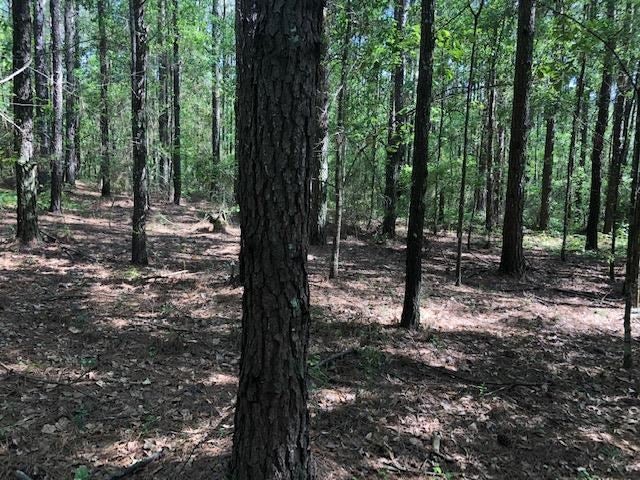 331 NORTH Opp Al Opp, AL 36467 - Photo 18 of 38 Gallery Image 18