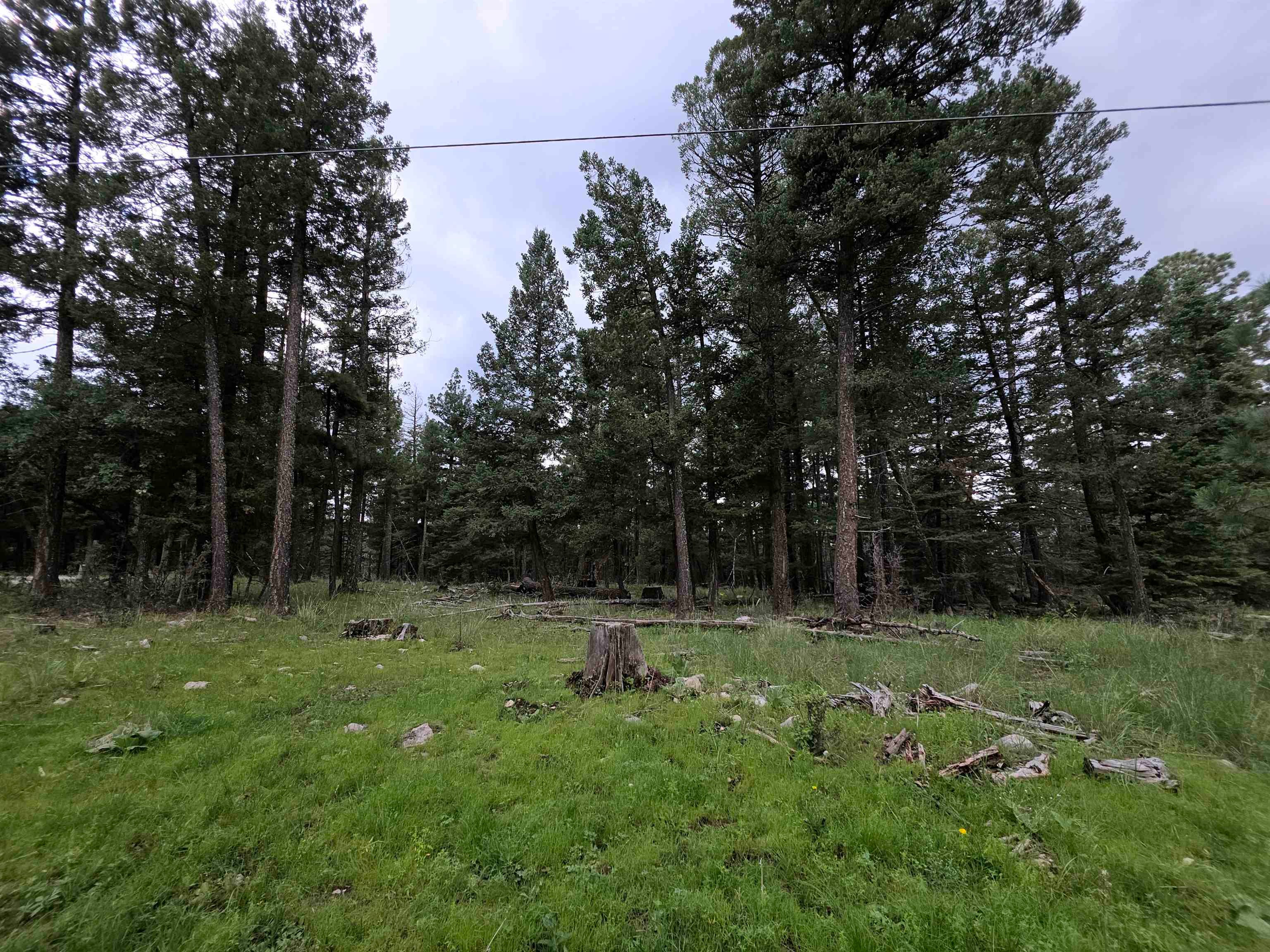 Lot 58 Big Dipper Road Mayhill, NM 88339 - Photo 43 of 50 Gallery Image 43
