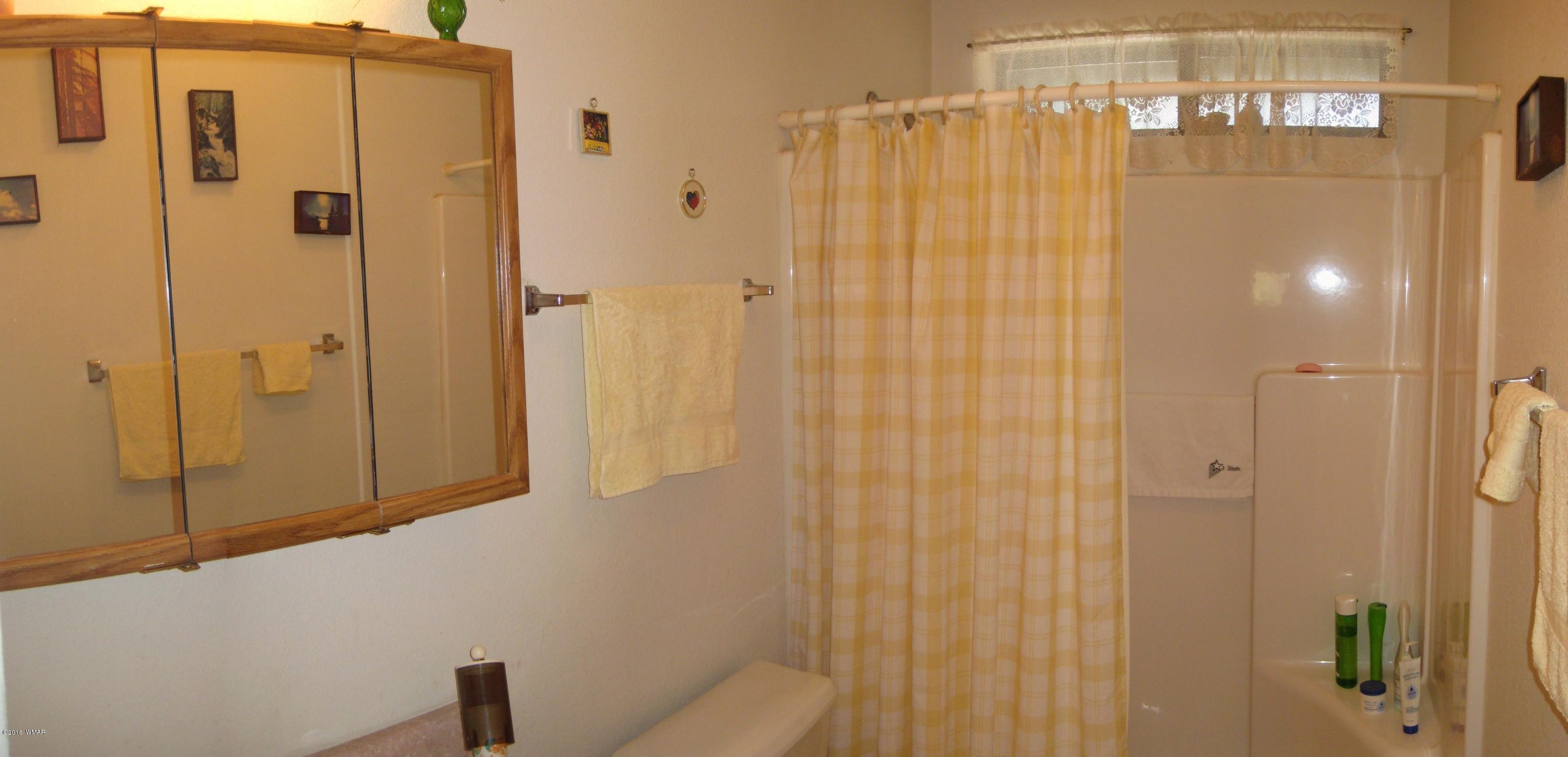 2233 Roundabout Way Overgaard, AZ 85933 - Photo 8 of 32 Gallery Image 8