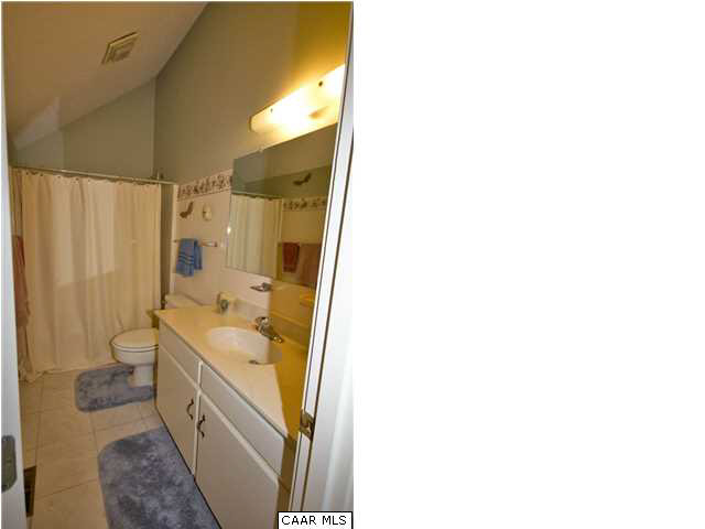 451 Three Ridges Roseland, VA 22967 - Photo 10 of 13 Attached master bath