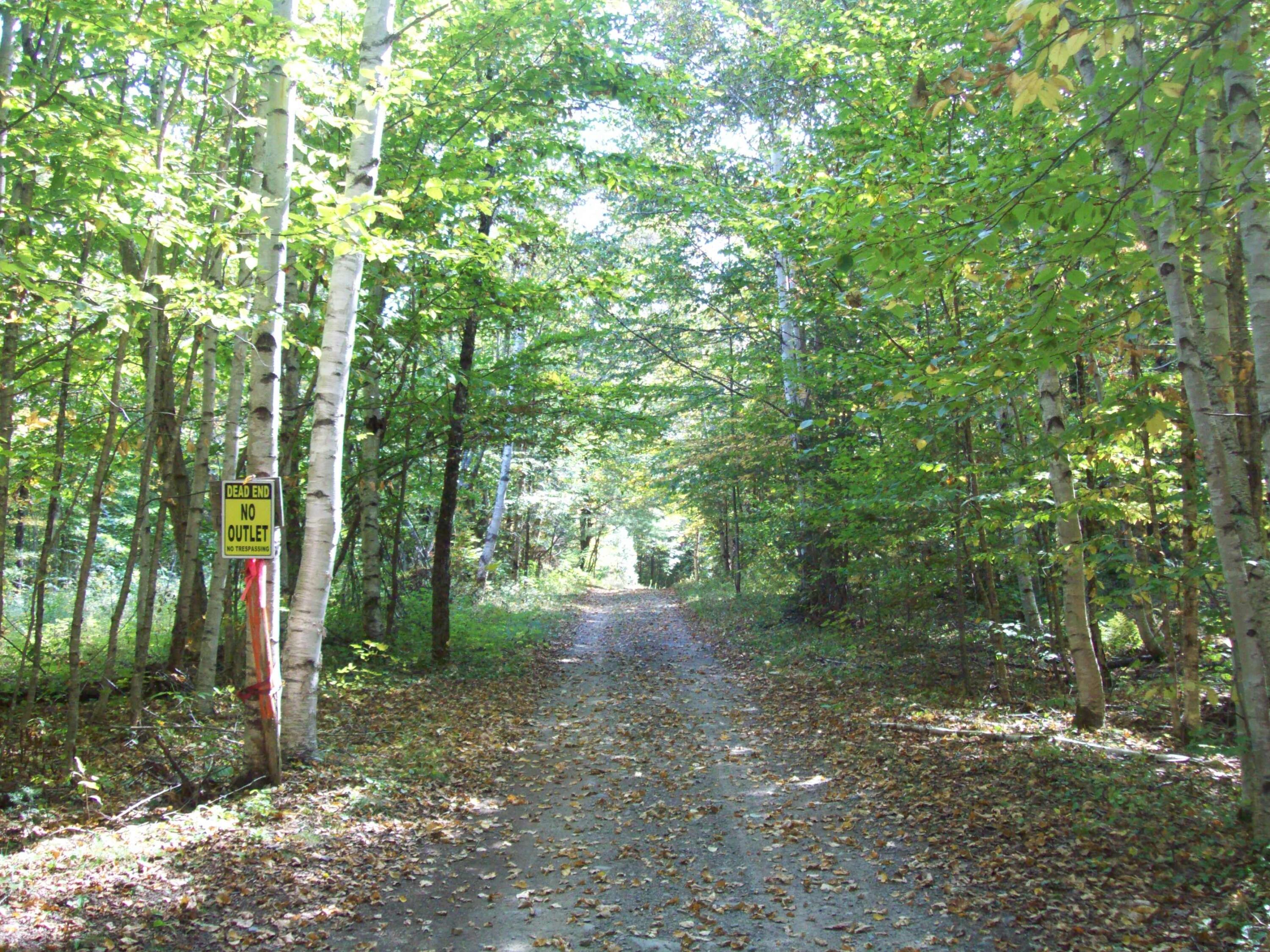 Tbd Tbd Chase Road Springfield, ME 04487 - Photo 8 of 11 100_3938