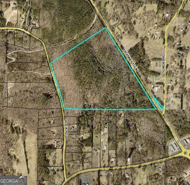 0 Highway 155, Unit TRACT 3 Stockbridge, GA 30281 - Photo 2 of 3