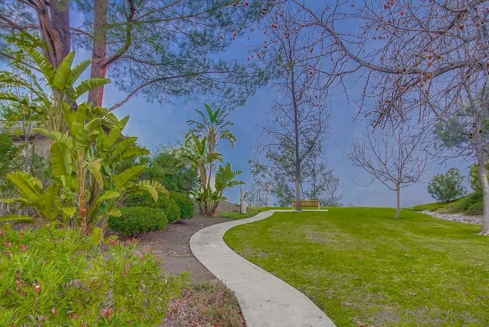 2548 Columbine Road Alpine, CA 91901 - Photo 61 of 71 a view of a backyard with large trees