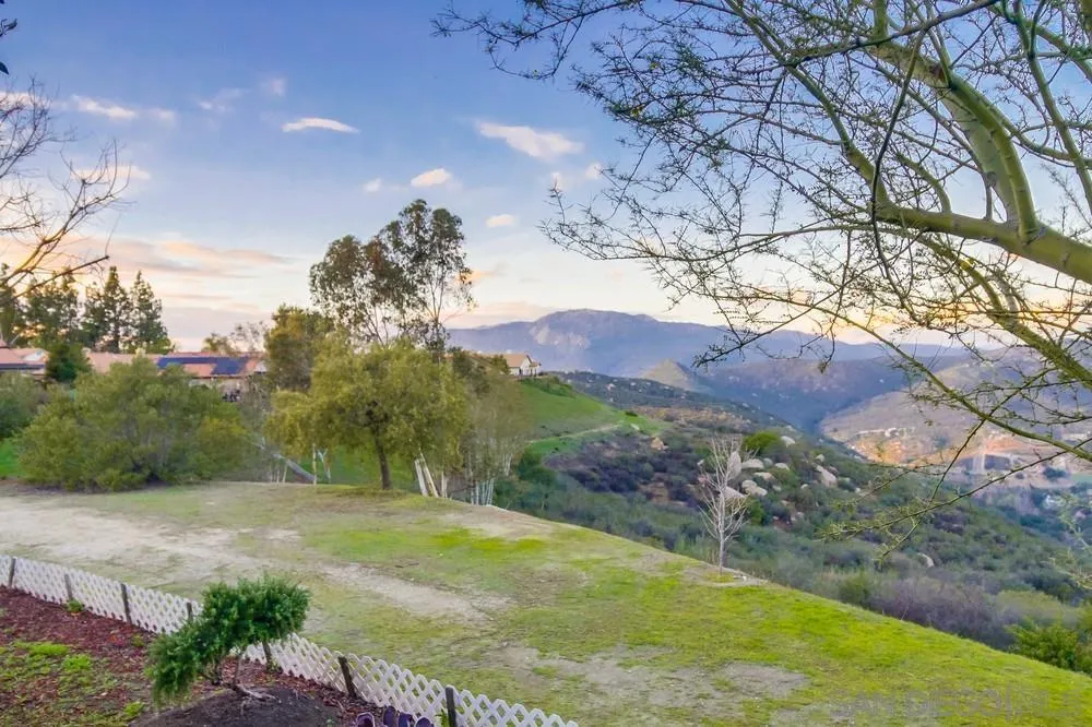 2548 Columbine Road Alpine, CA 91901 - Photo 66 of 71 a view of a yard with a tree