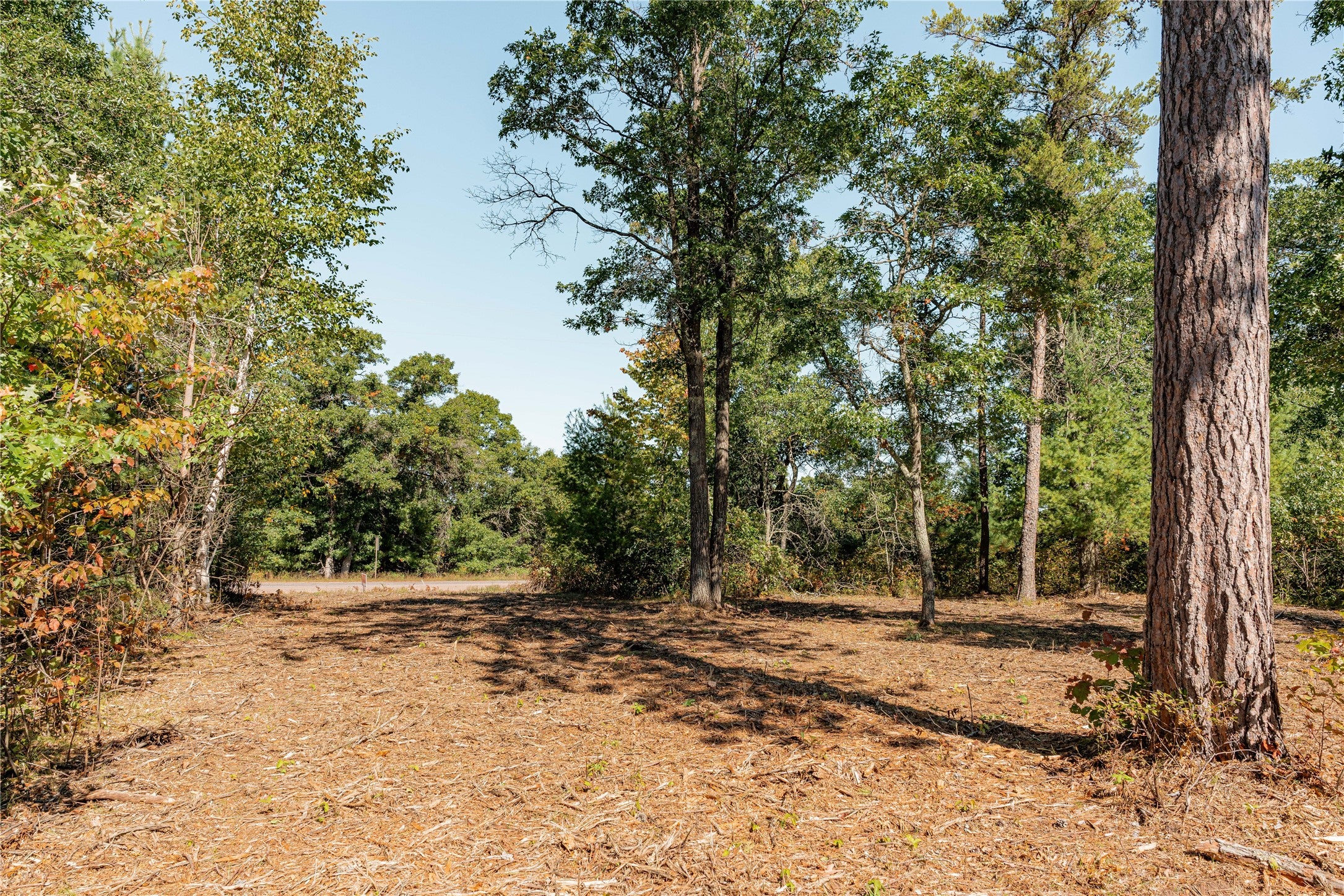 0 County Rd T Minong, WI 54859 - Photo 9 of 12 Gallery Image 9