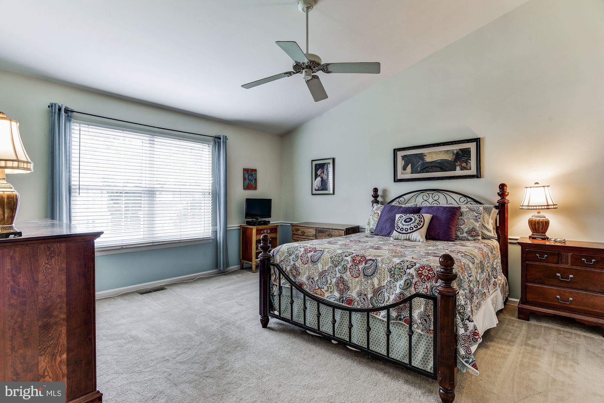 23612 Dixie Ridge Court Gaithersburg, MD 20882 - Photo 14 of 38 Master Bedroom | Vaulted Ceilings