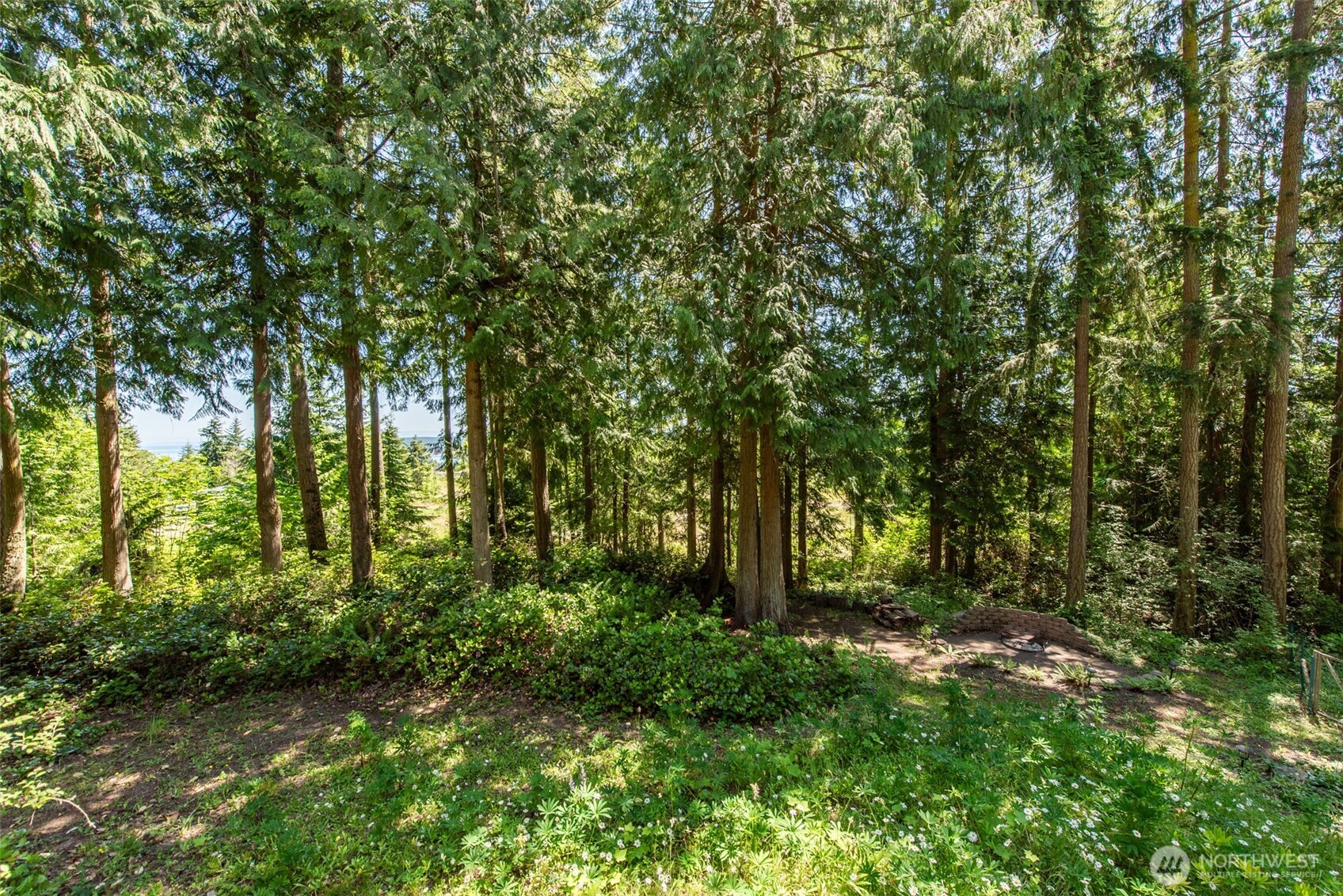 214 Cougar Crest Road Sequim, WA 98382 - Photo 39 of 39