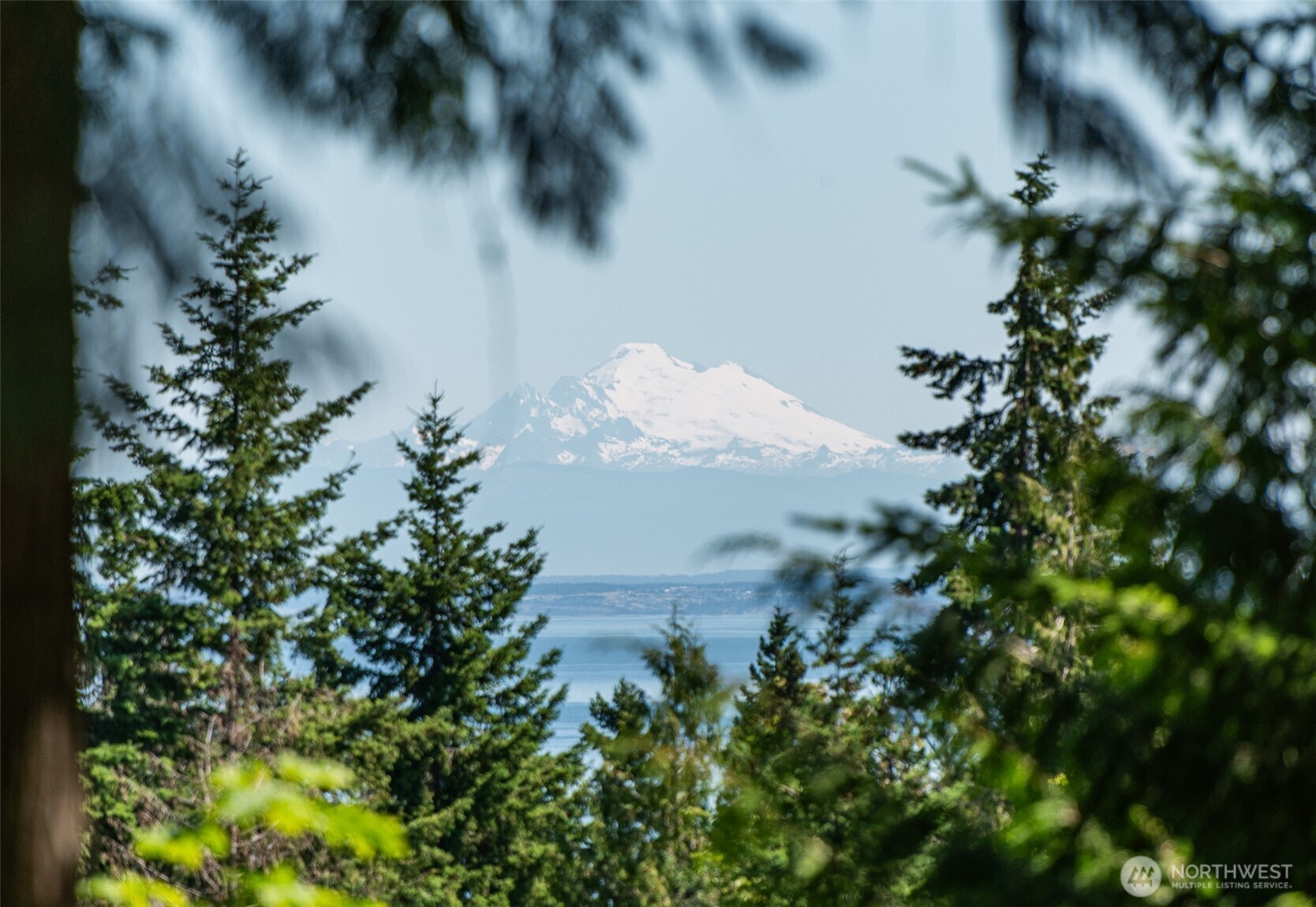 214 Cougar Crest Road Sequim, WA 98382 - Photo 6 of 39