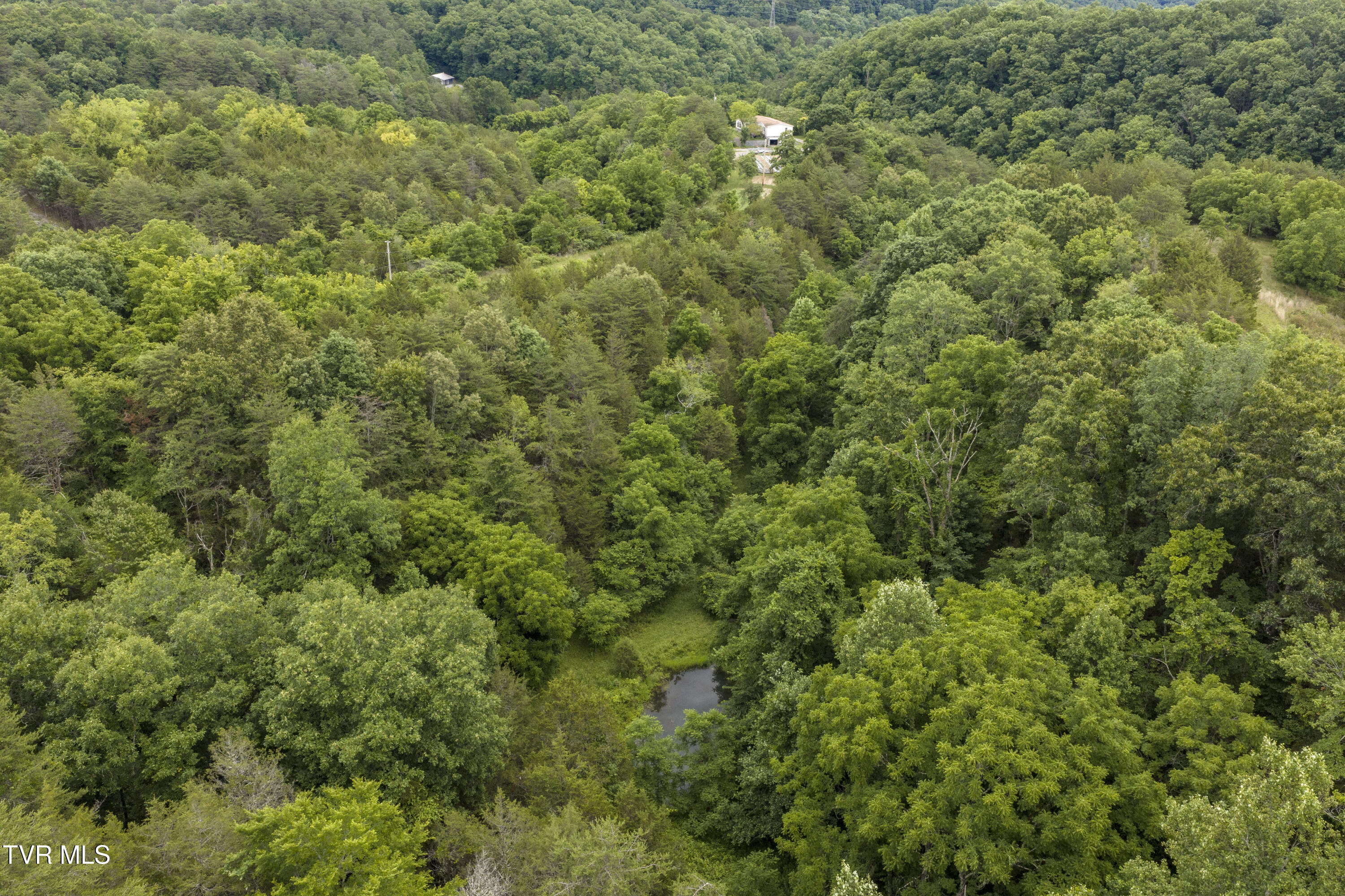700 Piney Flats Road Piney Flats, TN 37686 - Photo 10 of 44 700-758PineyFlats-Aerials-39