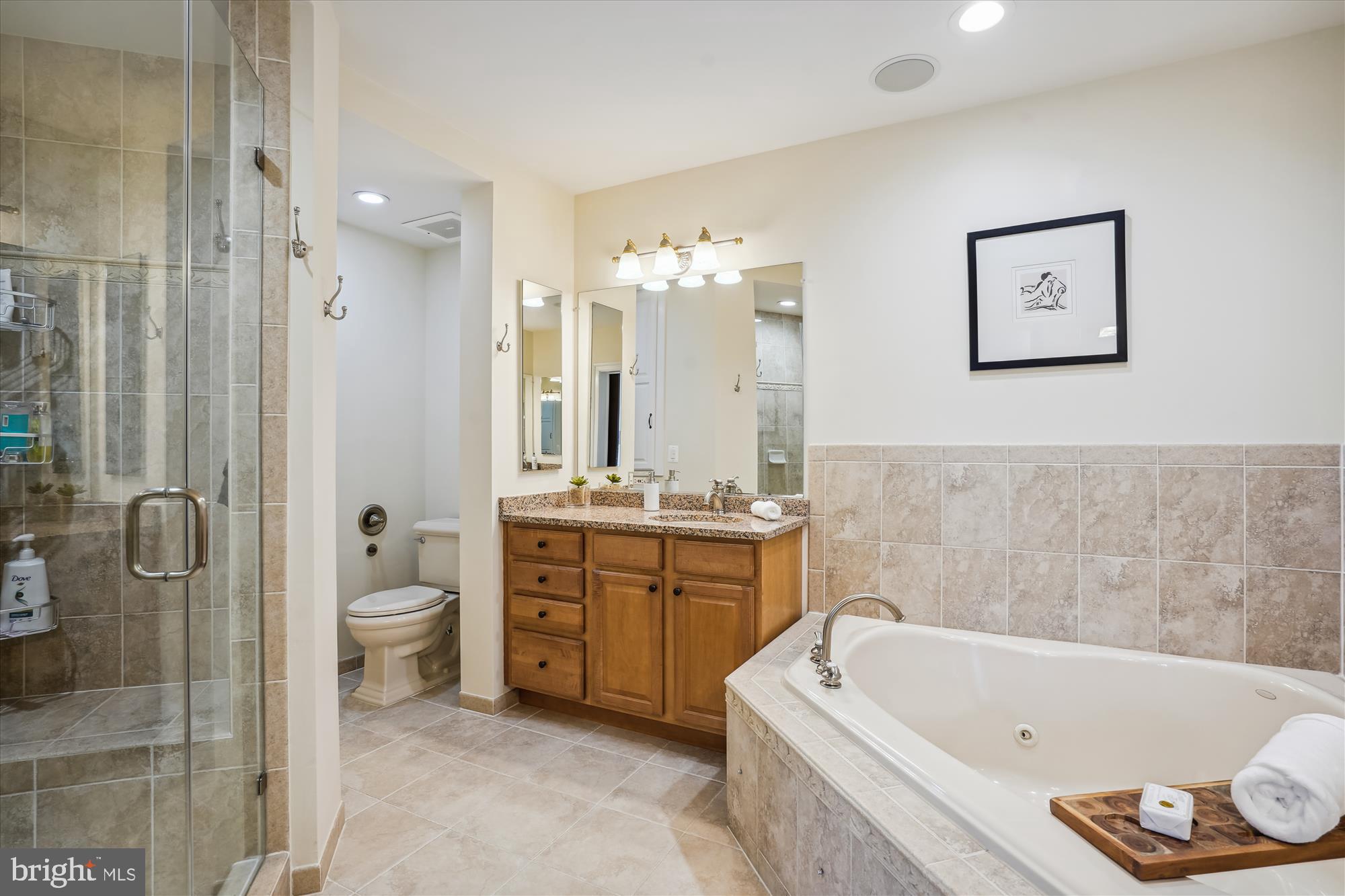 1781 Chain Bridge Road, Unit 407 McLean, VA 22102 - Photo 15 of 38 Primary Bath