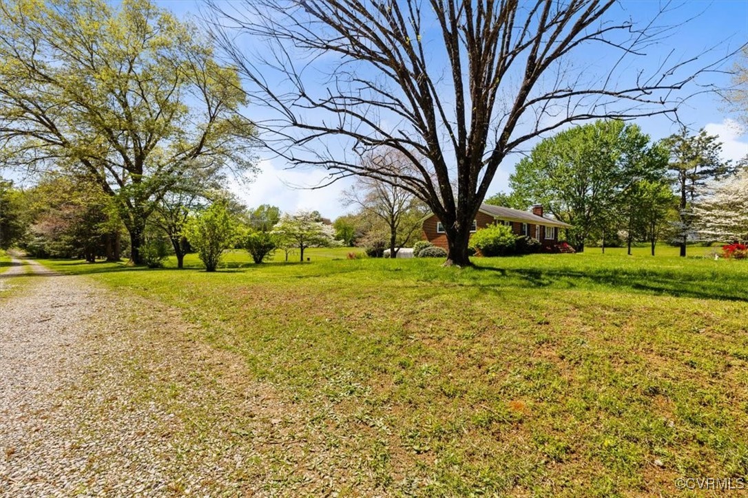 191 Petersburg Road Powhatan, VA 23139 - Photo 14 of 35 View of yard