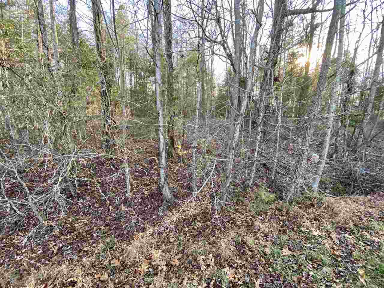 Cousin Road Rougemont, NC 27572 - Photo 4 of 6 Photo 4