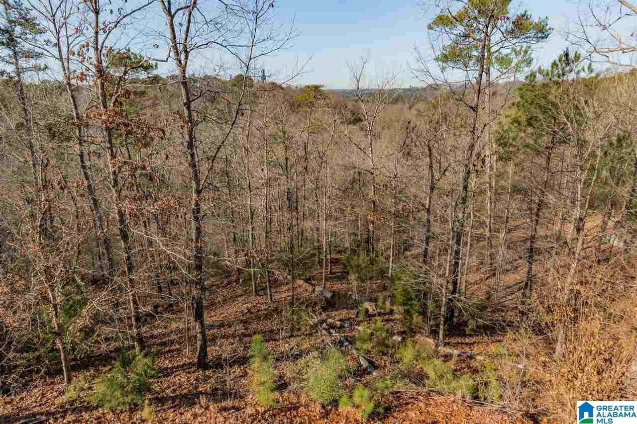 4822 Bridgewater Road Birmingham, AL 35243 - Photo 43 of 50