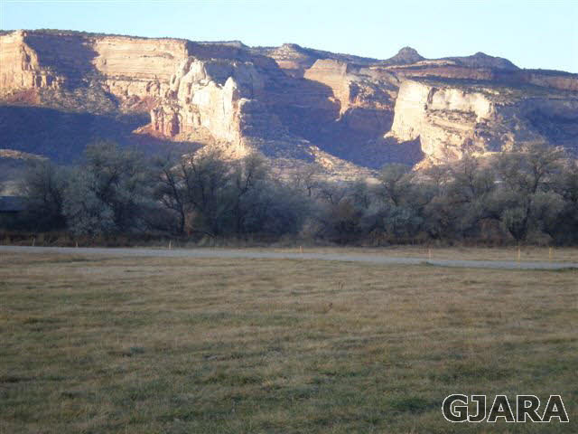 845 River Ranch Court Fruita, CO 81521 - Photo 8 of 9 Gallery Image 8