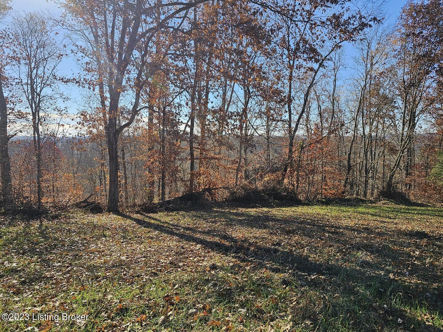 2 Round Btm Road Magnolia, KY 42757 - Photo 6 of 14 20231115_090421 (Large)