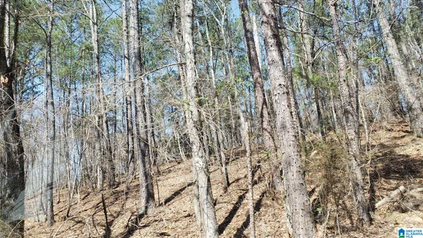 $9,900 | 520 County Road, Unit 1, Verbena, AL 36091