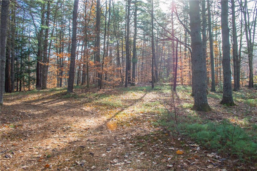 30 Browns Point Road Naples, ME 04055 - Photo 6 of 10 Photo