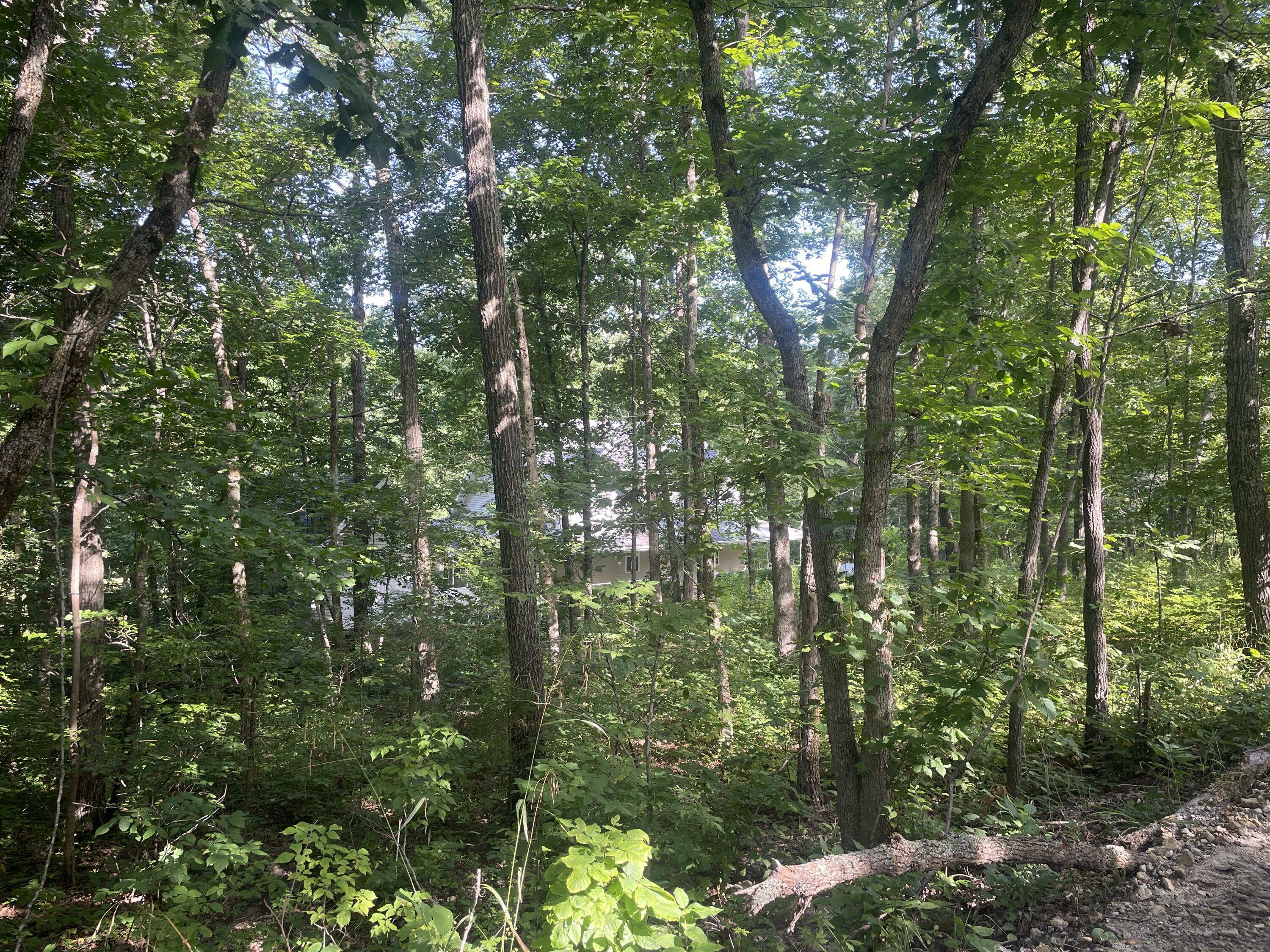 16569 Co Road, Unit 14533 Seymour, MO 65746 - Photo 58 of 60 IMG_7288