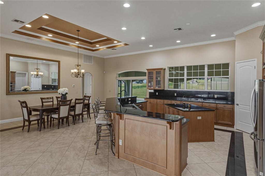 37624 Sky Ridge Circle Dade City, FL 33525 - Photo 25 of 83