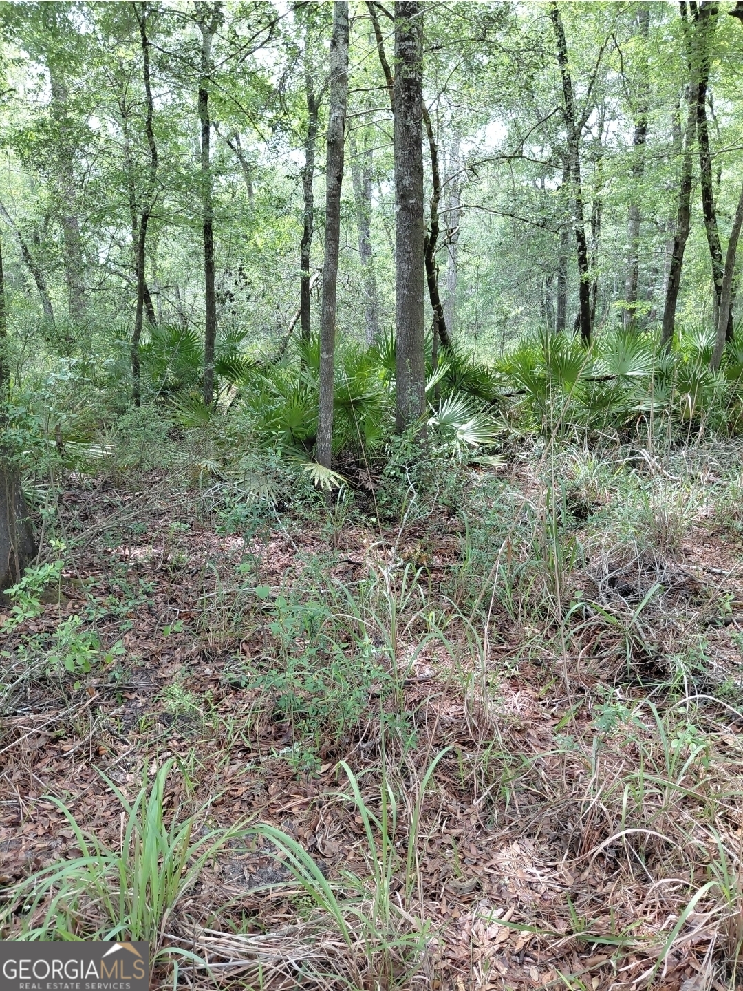 436 Russell Boulevard St. George, GA 31562 - Photo 18 of 33