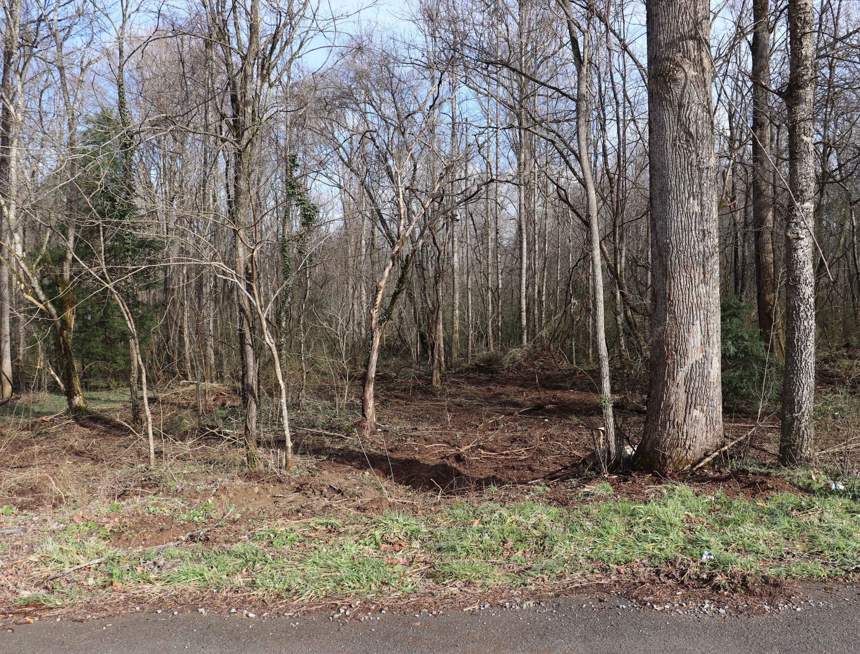 918 Dry Valley Road Townsend, TN 37882 - Photo 2 of 8 IMG_0504 (2)