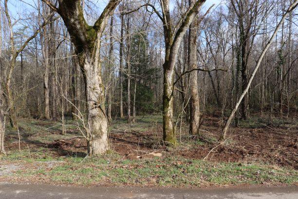 918 Dry Valley Road Townsend, TN 37882 - Photo 3 of 8 IMG_0506