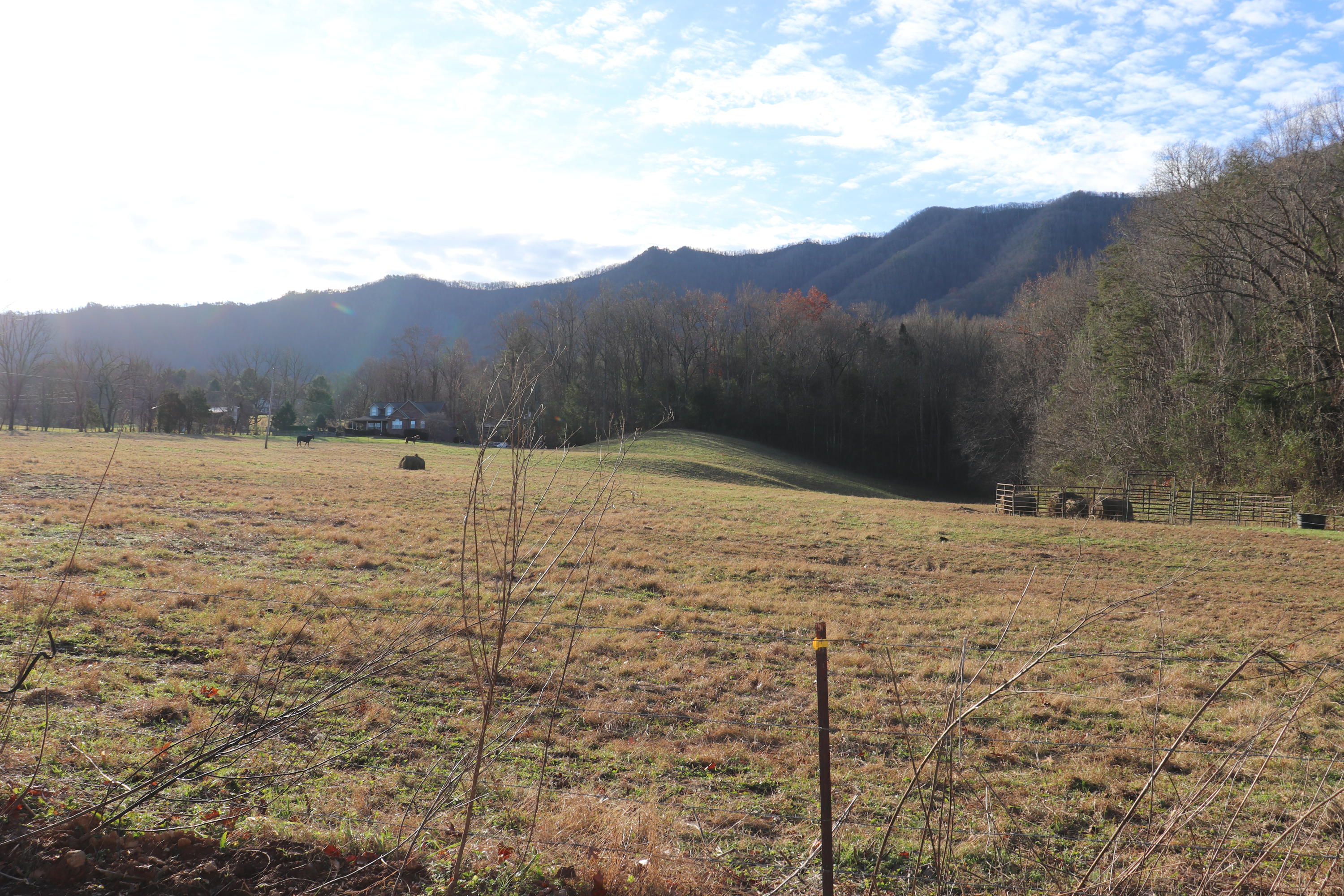 918 Dry Valley Road Townsend, TN 37882 - Photo 7 of 8 Great View across the road
