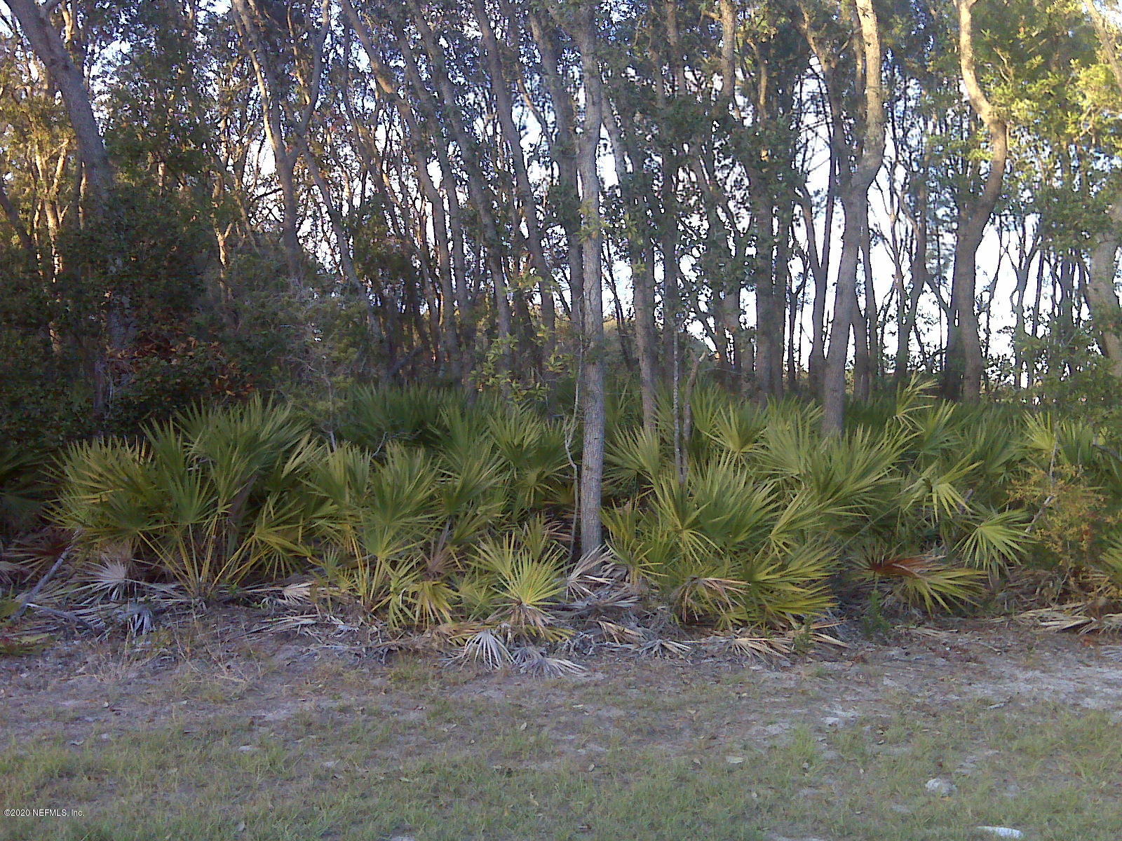 86173 Mainline Road Yulee, FL 32097 - Photo 11 of 12 IMG00558