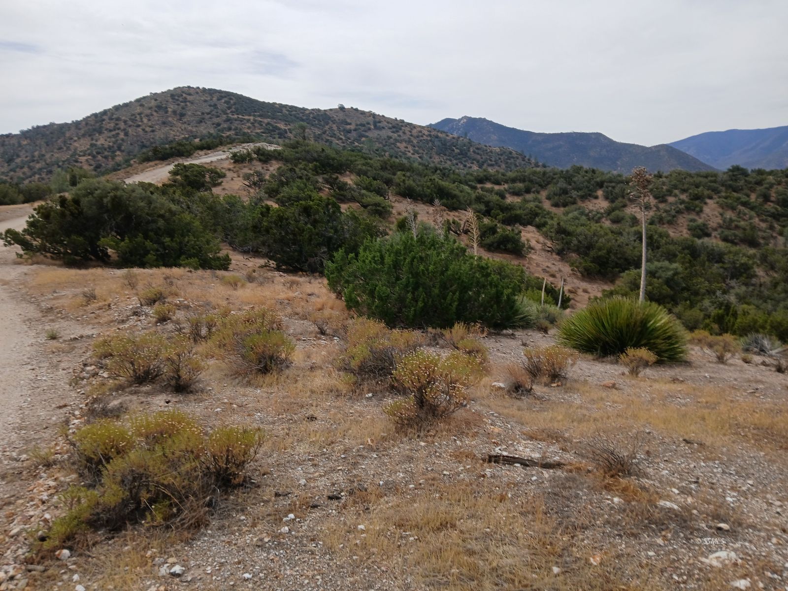 High Ridge Road Caliente, CA 93518 - Photo 3 of 12