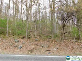 a view of a yard with large trees
